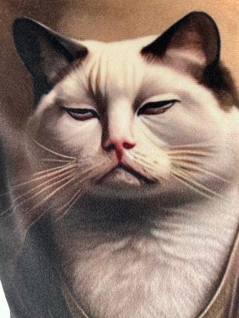 Dekorativni jastuk od pliša Mijau Sensei