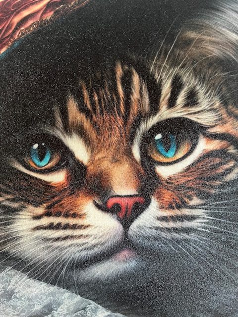 Deko plišani jastučić Mačak sa šeširom